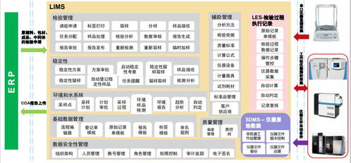 食品飲料實驗室全面數字化轉型之路 以數字內容制作服務為核心驅動力