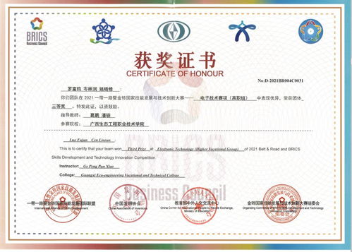 喜訊！我校代表隊在2021一帶一路暨金磚國家技能大賽電子技術賽項國內賽決賽中勇奪佳績